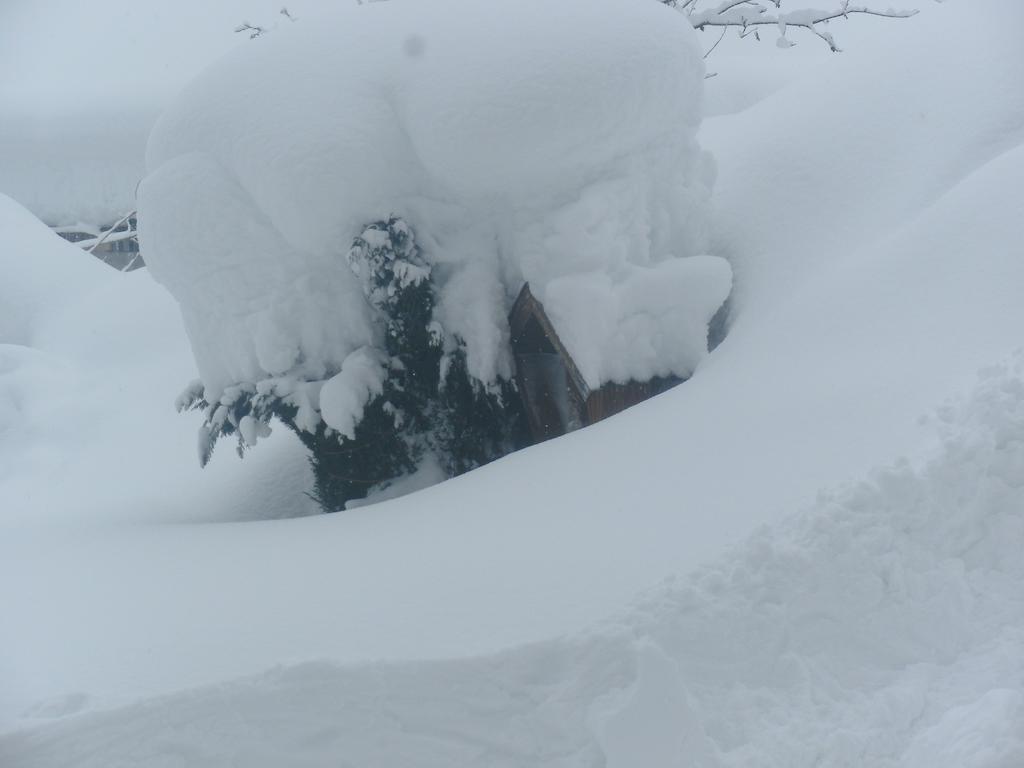 Viehhofbauer Βίλα Maria Alm am Steinernen Meer Εξωτερικό φωτογραφία